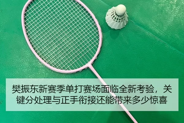 樊振东新赛季单打赛场面临全新考验，关键分处理与正手衔接还能带来多少惊喜